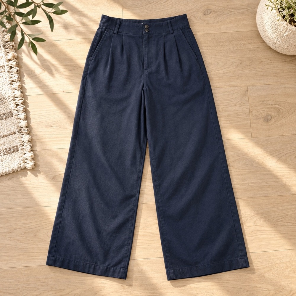 Madewell High Rise Wide Leg Pleated Pants Size 0 Navy Trousers Preppy Workwear